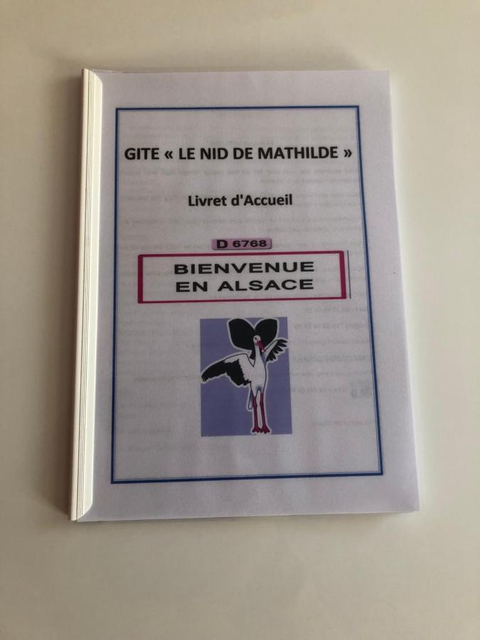 Le Nid De Mathilde- 3 Etoiles Appartamento Colmar Esterno foto