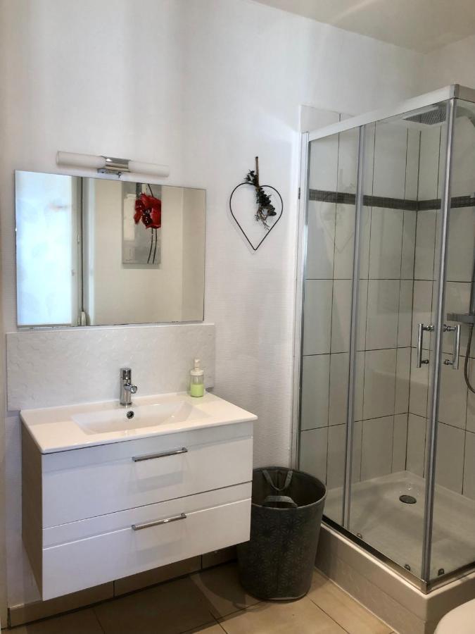 Le Nid De Mathilde- 3 Etoiles Appartamento Colmar Esterno foto