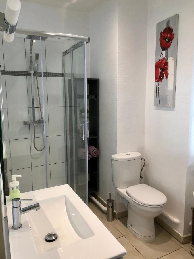 Le Nid De Mathilde- 3 Etoiles Appartamento Colmar Esterno foto